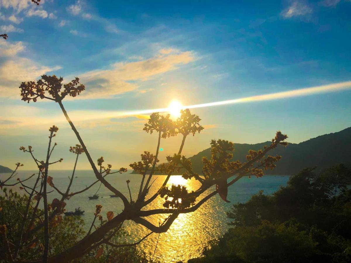 Homestay Van Duc Cu Lao Cham Tân Hiệ Εξωτερικό φωτογραφία
